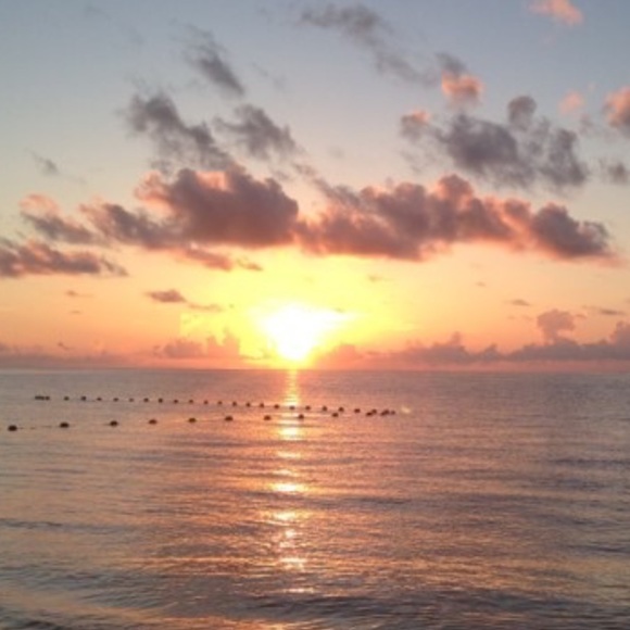 Meet your Posher, Julie - Picture 1 of 1